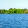 Algae on Lake LBJ?