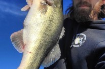 Fish in the Highland Lakes